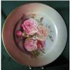 Cabinet Plate Bavaria Roses hand Painted #1161940