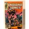 Image 1 : INDIANA JONES #15