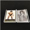 Image 1 : ANDRE THE GIANT SPORTS CARD LOT