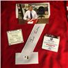 Image 2 : TED LINDSEY SIGNED DETOIT RED WINGS JERSEY ( GLOBAL COA)