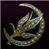 Image 1 : Victorian 14k & Seed Pearl BROOCH #1124501