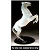 Image 1 : ROYAL DUX "LIPIZZAN HORSE" / FG008A #1132453