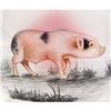 Image 1 : ZODIAC Sign of the PIG  Inside Painted  Crystal#1133608