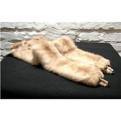 Pair of Mink scarf #1134045