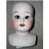 Image 1 : Fulper Made in U.S.A. bisque shoulderhead #1168385