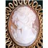 Image 1 : Estate Winard Shell Cameo Pin Broach Gold  #1169016