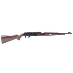 Remington Nylon 66 .22 Semi-Automatic Rifle
