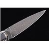 Image 10 : Vein Turquoise & Raindrop Damascus Knife