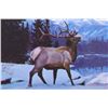 Image 3 : "Swan River Elk" Limited Edition Print By Sprunger