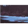 Image 6 : "Swan River Elk" Limited Edition Print By Sprunger