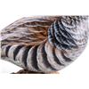 Image 13 : Chris Olson Painted & Signed Scaled Quail Carving