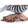 Image 14 : Chris Olson Painted & Signed Scaled Quail Carving