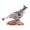 Image 1 : Chris Olson Painted & Signed Scaled Quail Carving