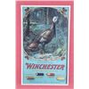 Image 2 : 1904 Winchester "Cock of the Woods" Advertisement