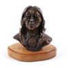 Image 1 : Gordon Monroe Sitting Bull Original Bronze Bust