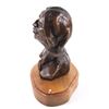 Image 5 : Gordon Monroe Sitting Bull Original Bronze Bust