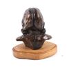 Image 6 : Gordon Monroe Sitting Bull Original Bronze Bust