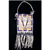 Image 1 : Cheyenne Buffalo Quilled & Beaded Society Pouch
