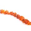 Image 10 : Unpolished Natural Amber Trade Necklace