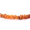 Image 9 : Unpolished Natural Amber Trade Necklace