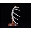 Image 3 : Mounted Hand Carved Eagle Antler Mid Century