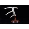 Image 4 : Mounted Hand Carved Eagle Antler Mid Century