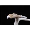 Image 5 : Mounted Hand Carved Eagle Antler Mid Century