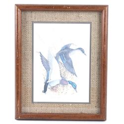 Charles E. Murphy Mallard Duck Framed Print