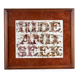 Bev Doolittle "Hide And Seek" Framed Print
