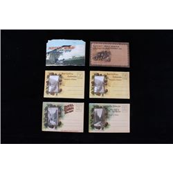 Six Vintage Colorado & Tennessee Postcards Set