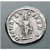 Image 2 : Roman Imperial Coins - Giulio Domna