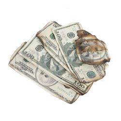 The Dark Knight Rises Burnt "Joker" Money
