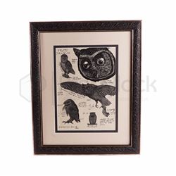 Harry Potter & The Chamber of Secrets Framed Owl Poster