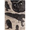 Image 4 : Harry Potter & The Chamber of Secrets Framed Owl Poster