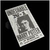 Image 1 : Harry Potter & The Deathly Hallows Undesirable Flyer