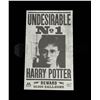 Image 2 : Harry Potter & The Deathly Hallows Undesirable Flyer