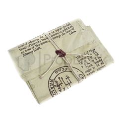 Harry Potter & The Goblet of Fire Trial Paperwork