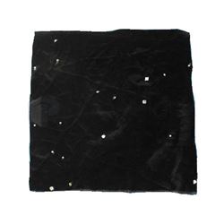 Star Trek: The Next Generation Ten Forward Curtain Section