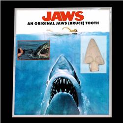 Jaws Original Tooth Display