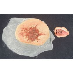 Ash vs Evil Dead (2015–2018) - Deadite Appliances