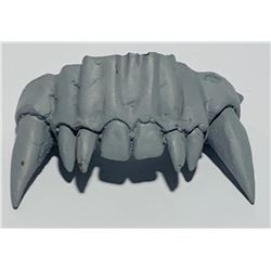 Beauty and the Beast (2017) - Beast (Dan Stevens) Teeth Cast