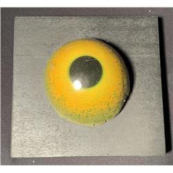 Jurassic Park (1993) - Raptor Dinosaur Eyeball (Test)