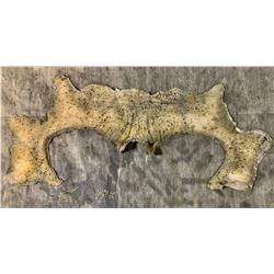 The Haunting of Hill House (2018–) - William Bowler Hat Hill FX Brow Appliance