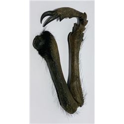 The Thing (2011) - 3 Jointed Insect Leg