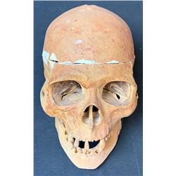 Turbo: A Power Rangers Movie (1997) - Prop Skull From Main Cave