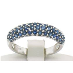 14kt White Gold 1.25 ctw Domed Pave Round Blue Sapphire Band Ring