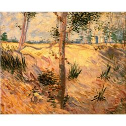 Van Gogh - Trees In A Field On A Sunny Day