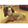 Image 1 : Doulton Cavalier King Charles Spaniel #1126294