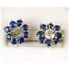 Image 1 : 14K EARRING JACKETS CEYLON SAPPHIRE  DONUTS #1136066