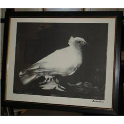 Original Pablo Picasso White Bird Lithograph #1136163